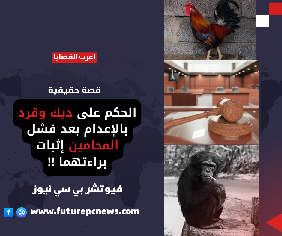 الحكم على ديك بالإعدام بعد فشل محاميه في اثبات براءته.. ومعاقبة قرد بتهمة الخيانة العظمى!! (قصة حقيقية) 1 D9 81 D9 8A D9 88 D8 AA D8 B4 D8 B1 20 D8 A8 D9 8A 20 D8 B3 D9 8A 20 D9 86 D9 8A D9 88 D8 B2