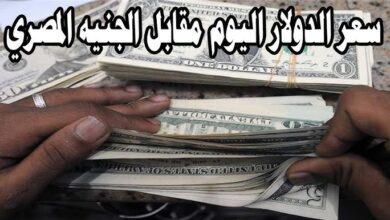 سعر الدولار اليوم مقابل الجنيه المصري