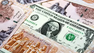 سعر الدولار اليوم مقابل الجنيه المصري