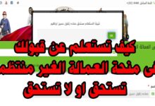 الاستعلام عن منحة العمالة الغير منتظمة