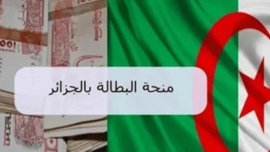 تجديد منحة البطالة الجزائر 2025