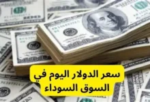 سعر الدولار في مصر اليوم