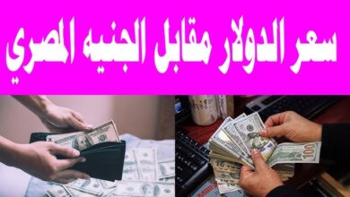 سعر الدولار اليوم
