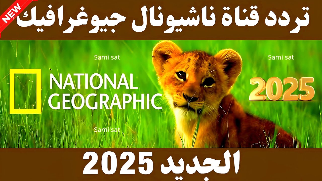 ثبت تردد قناة ناشيونال جيوغرافيك نايل سات 2025 وعرب سات وتابع عالم الحيوانات 1 تردد قناة ناشيونال جيوغرافيك نايل سات 2025