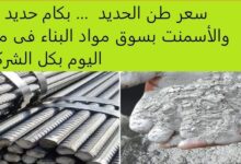 سعر طن الحديد اليوم
