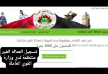 منحة العمالة الغير منتظمة