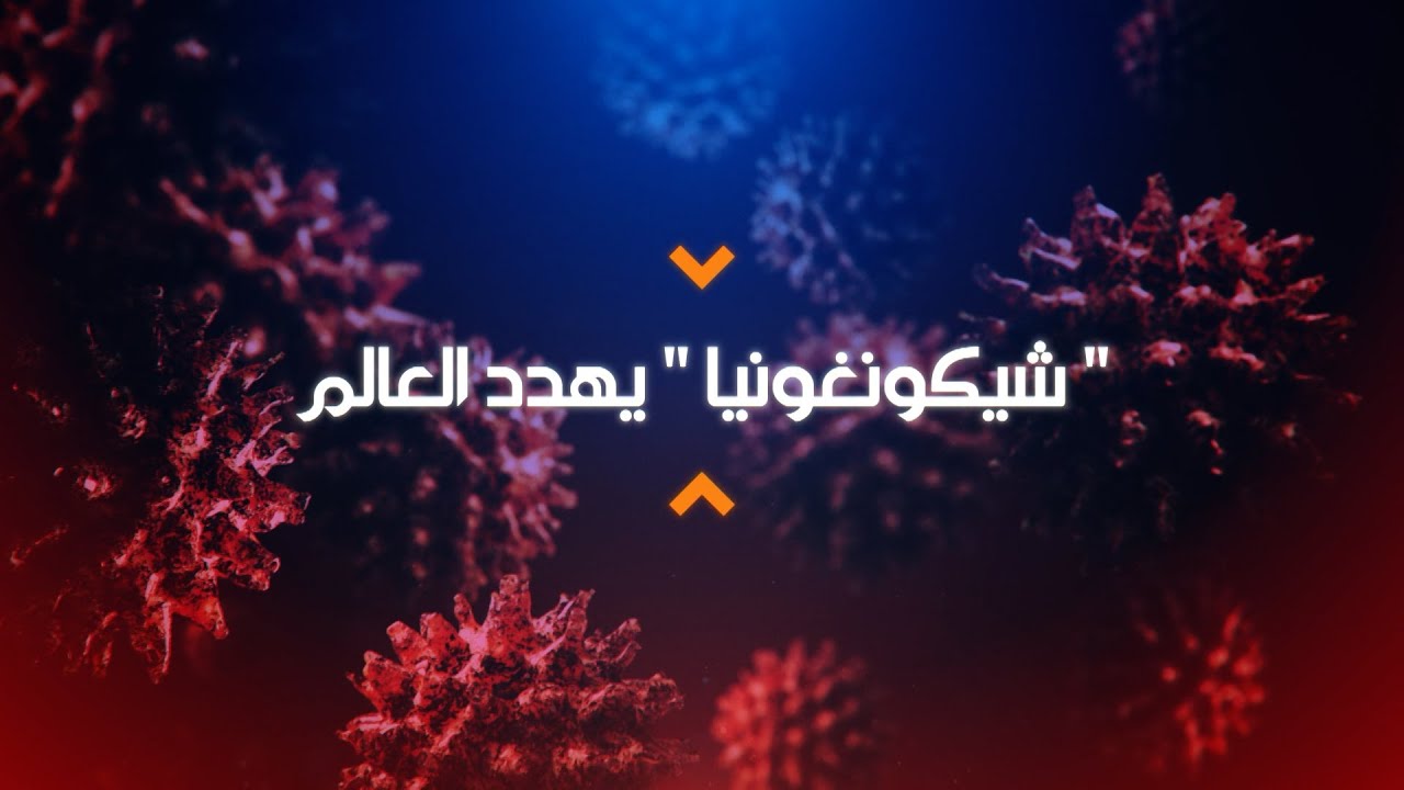 كل ما تحتاج معرفته عن فيروس شيكونغونيا |التهديد القادم من لدغة بعوضة 1 فيروس شيكونغونيا