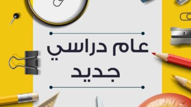 موعد بداية العام الدراسي الجديد 2026 للجامعات