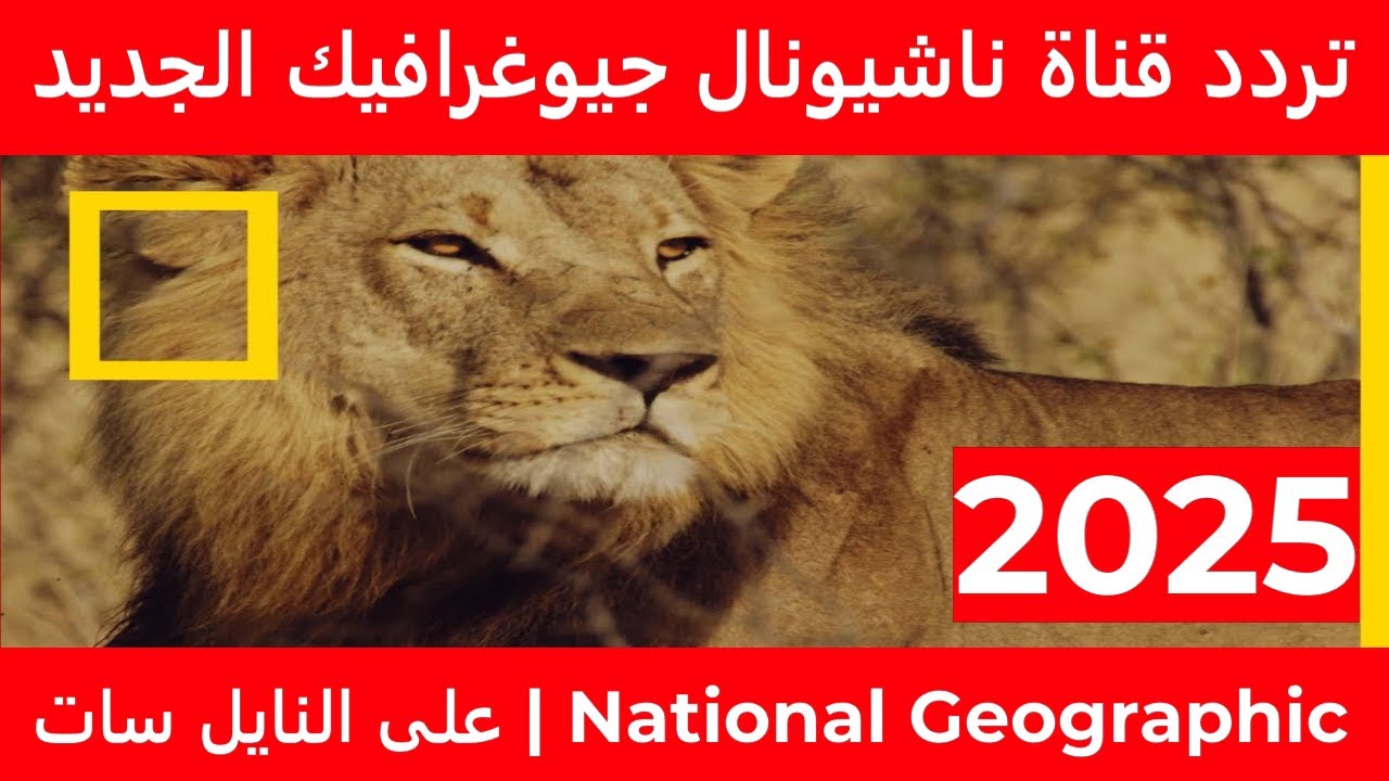 تردد قناة ناشيونال جيوغرافيك 2025 