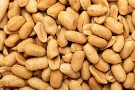 الفول السوداني