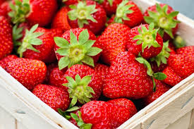 ثمرة الفراولة