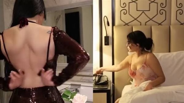 فيديو هيفاء وهبي الفن والجمال