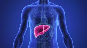 صحة الكبد