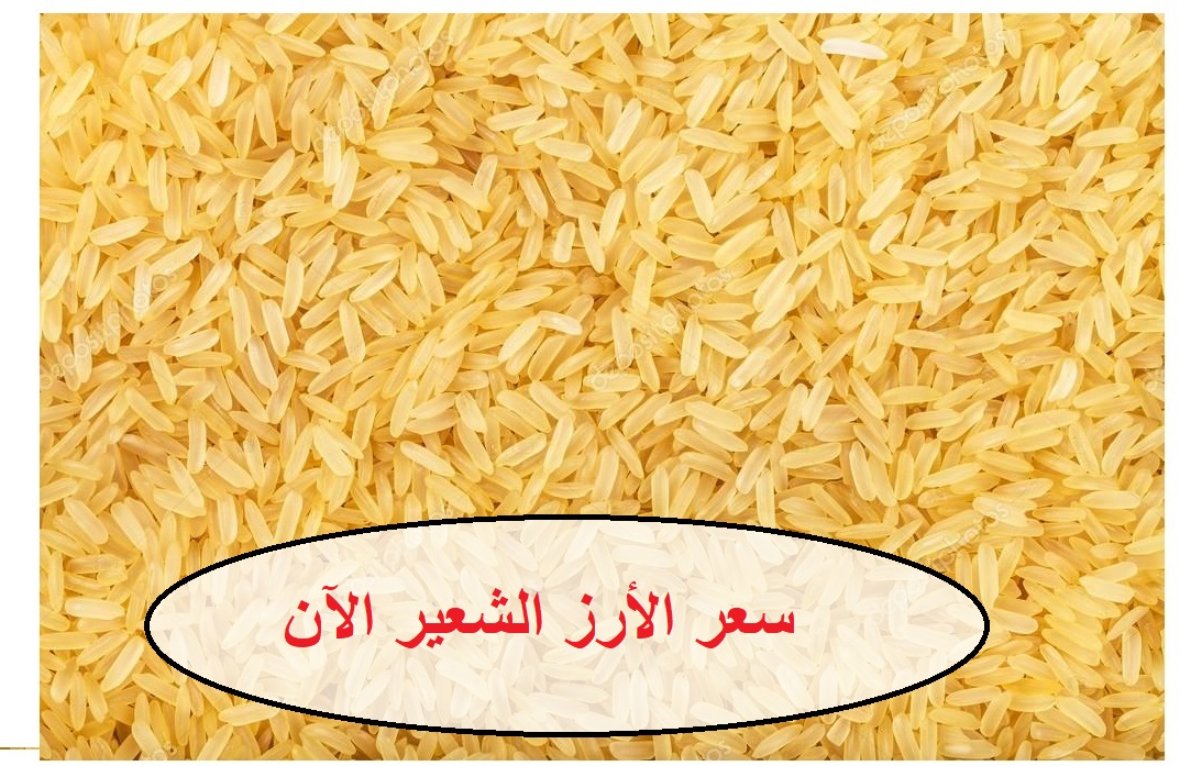 أسعار الأرز الشعير اليوم