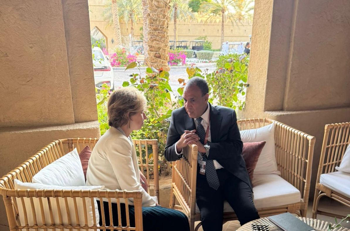 وزير خارجية مصر