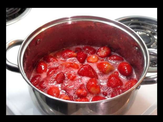 مربى الفراولة