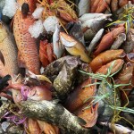 D8A3D8B3D8B9D8A7D8B1 D8A7D984D8B3D985D983 D8A7D984D98AD988D985 D984D984D985D8B3D8AAD987D984D983 c1dEEI